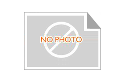 Natural Abstract Canvas Wall Art Set of 10