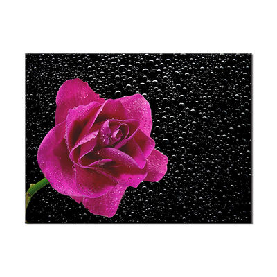 Big Size Flower Different Images Handmade Oil Painting Canvas Prints For Wall Decoration