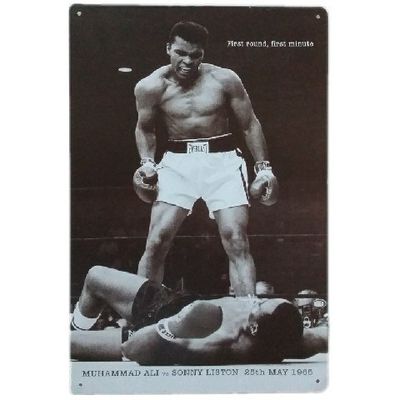 Wholesale Beauty Decor Retro Vintage Metal Funny Tin Poster Home Decoration