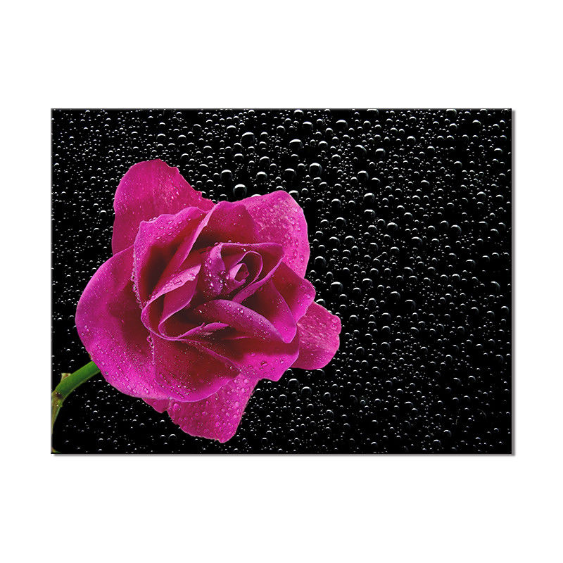 Big Size Flower Different Images Handmade Oil Painting Canvas Prints For Wall Decoration