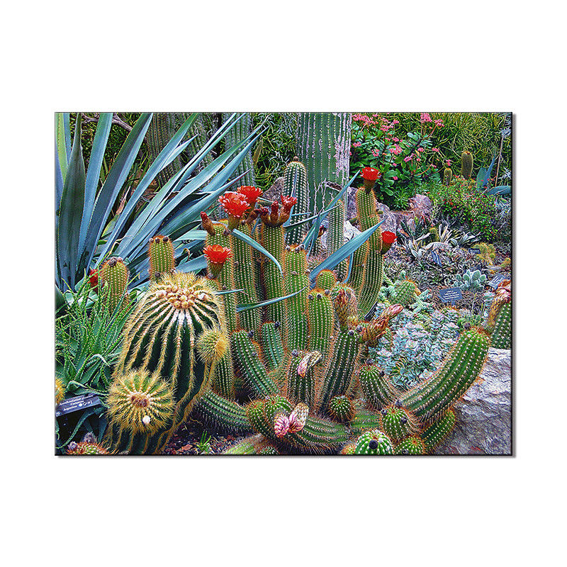 Green Plants Canvas Prints Wall Decoration Different Images Handmade Oil Painting Canvas Prints For Wall Decoration
